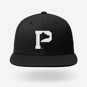 Black Heritage P Snapback