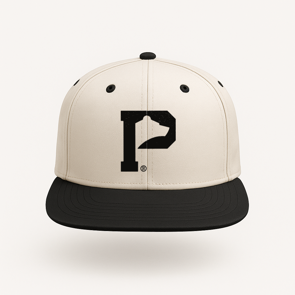 Black & Bone Heritage P Snapback